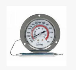冷/熱蒸汽溫度計(jì)